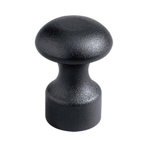 ASP LEVERAGE CAP (F SERIES)